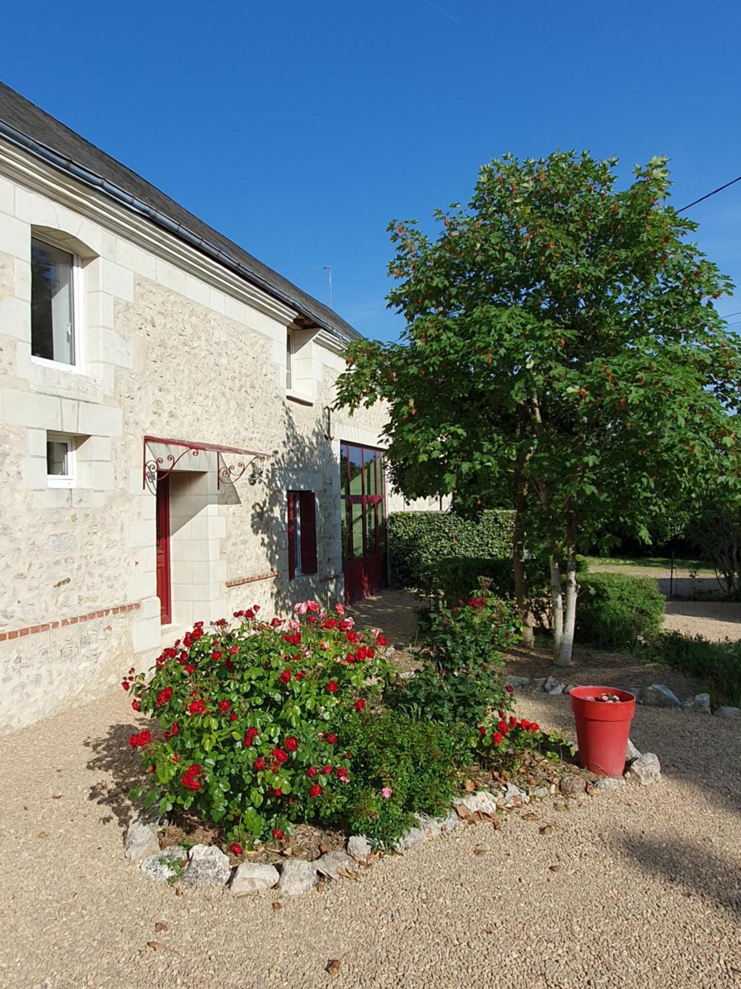 Au Domaine Du Bois Joubert Acomodação com café da manhã Luzillé Exterior foto